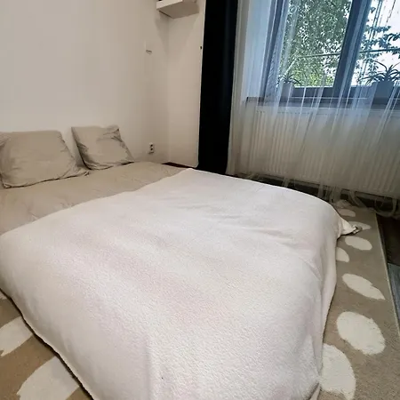 公寓 Bright And Cozy 40 M At 7 布拉格